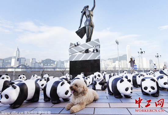 李嘉欣生日获办1600熊猫惊喜派对 女神大行