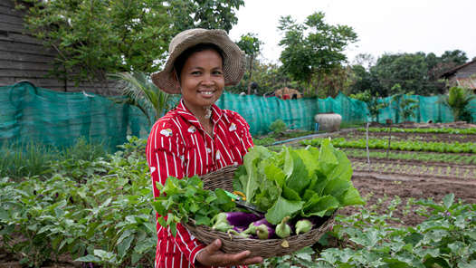 联大通过决议宣布2026年为国际女农民年